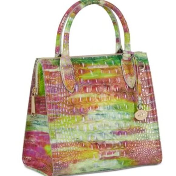 ✅ Brahmin Caroline DELIGHT Melbourne Leather Satchel ✨NWT, COA, DUST BAG - Picture 1 of 17
